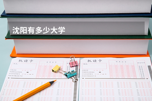 沈阳有多少大学
