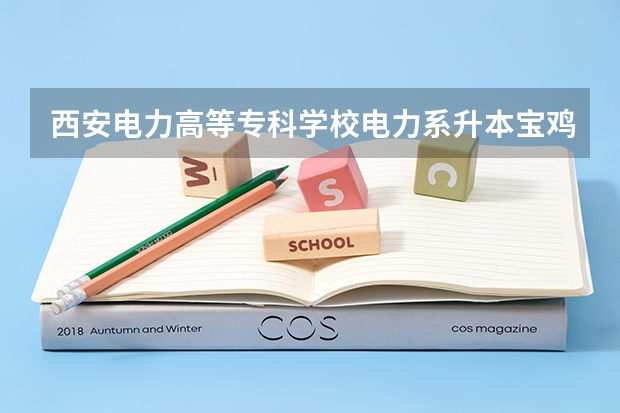 西安电力高等专科学校电力系升本宝鸡文理学院哪个专业好?