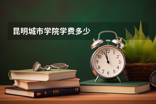 昆明城市学院学费多少