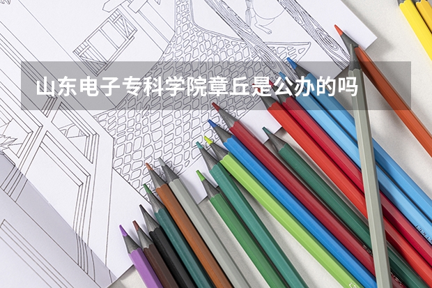 山东电子专科学院章丘是公办的吗