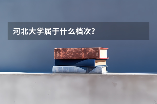 河北大学属于什么档次？