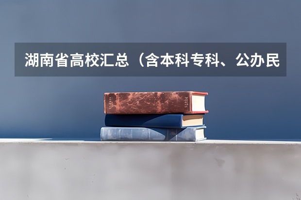 湖南省高校汇总（含本科专科、公办民办） 湖南大学计算机专业排名