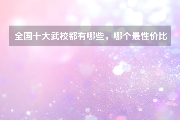 全国十大武校都有哪些，哪个最性价比最高？