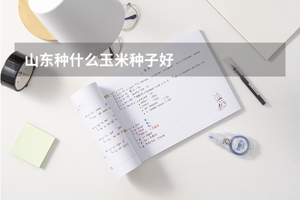山东种什么玉米种子好