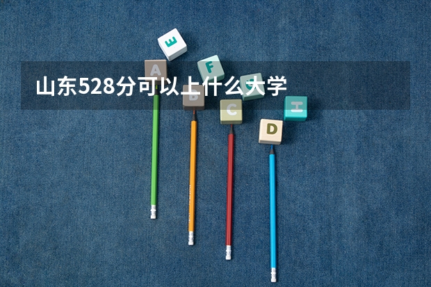 山东528分可以上什么大学
