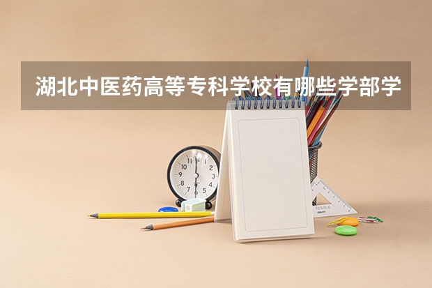 湖北中医药高等专科学校有哪些学部学院？