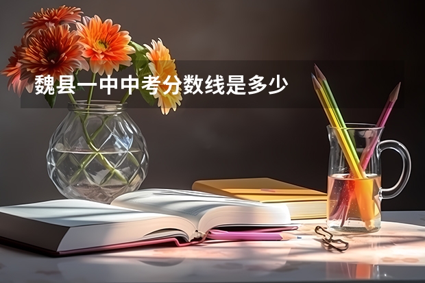 魏县一中中考分数线是多少