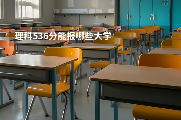 理科536分能报哪些大学