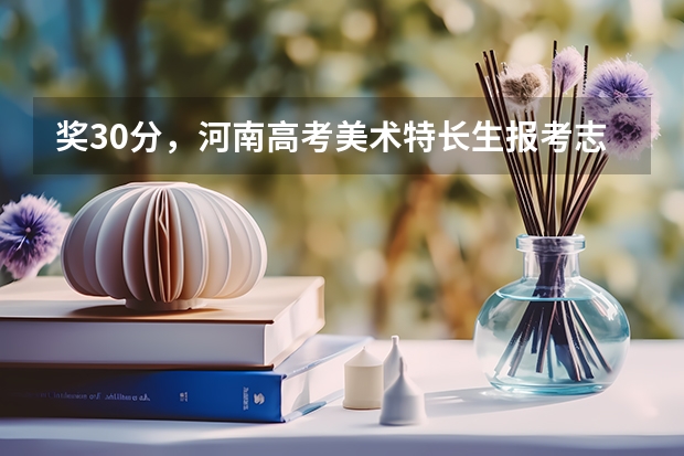 奖30分，河南高考美术特长生报考志愿流程是什么？