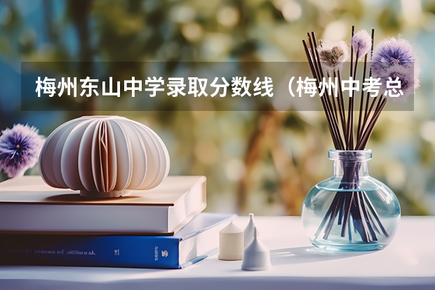 梅州东山中学录取分数线（梅州中考总分？）