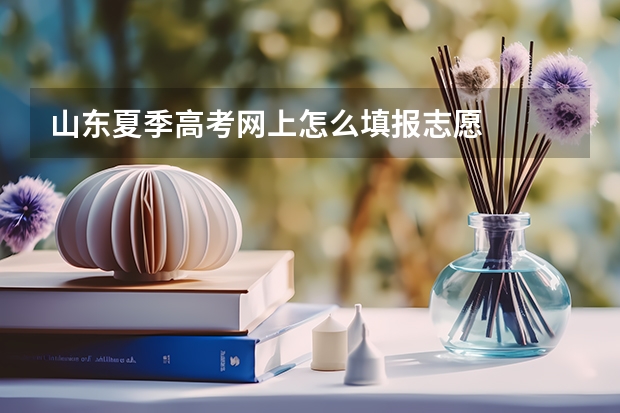 山东夏季高考网上怎么填报志愿