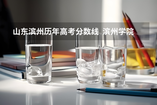 山东滨州历年高考分数线  滨州学院专科录取分数线