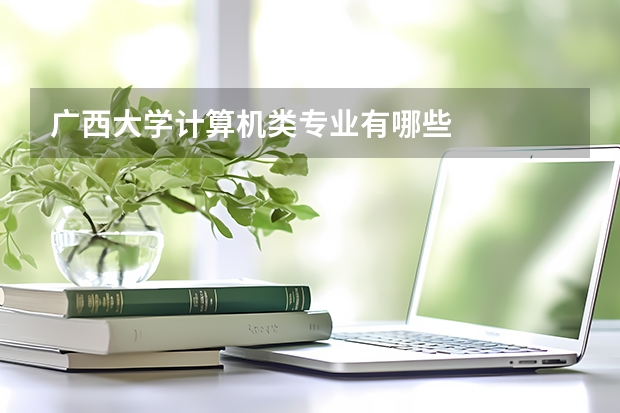 广西大学计算机类专业有哪些
