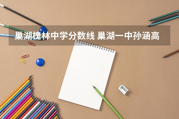 巢湖槐林中学分数线 巢湖一中孙涵高考分数