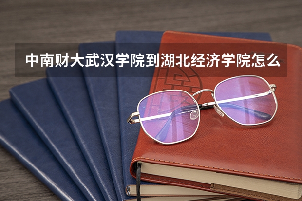 中南财大武汉学院到湖北经济学院怎么走？