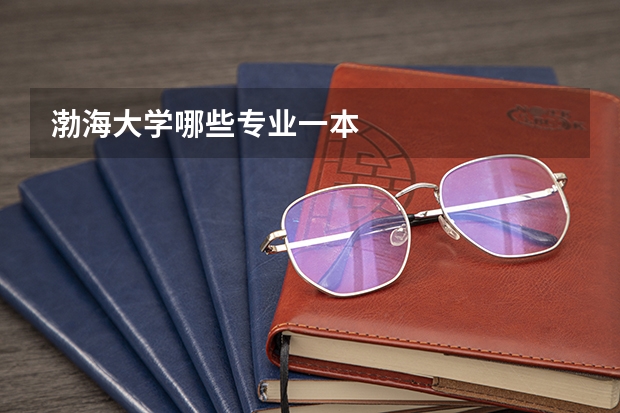 渤海大学哪些专业一本