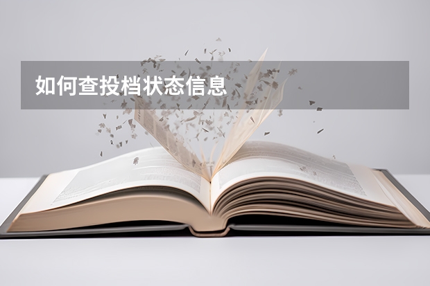 如何查投档状态信息