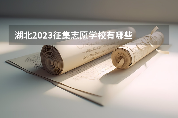 湖北2023征集志愿学校有哪些