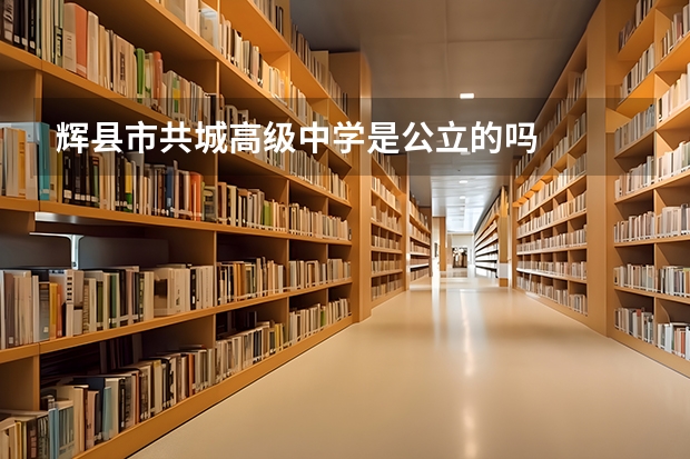 辉县市共城高级中学是公立的吗