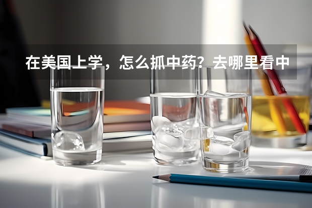 在美国上学，怎么抓中药？去哪里看中医？