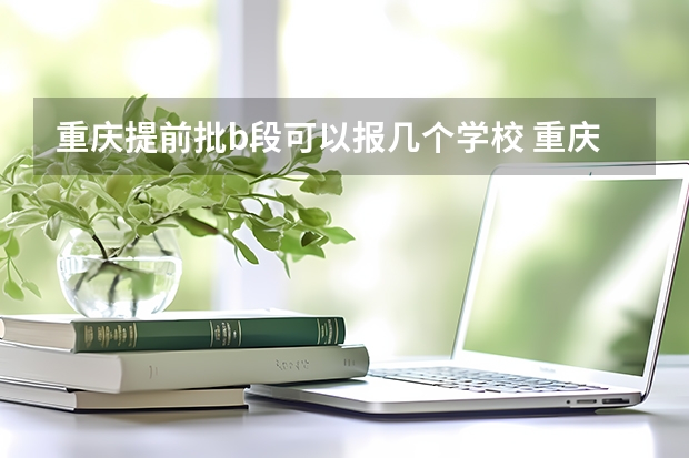 重庆提前批b段可以报几个学校 重庆平行志愿录取规则