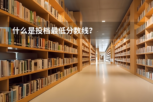 什么是投档最低分数线？