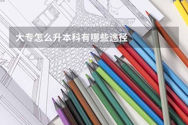 大专怎么升本科有哪些途径