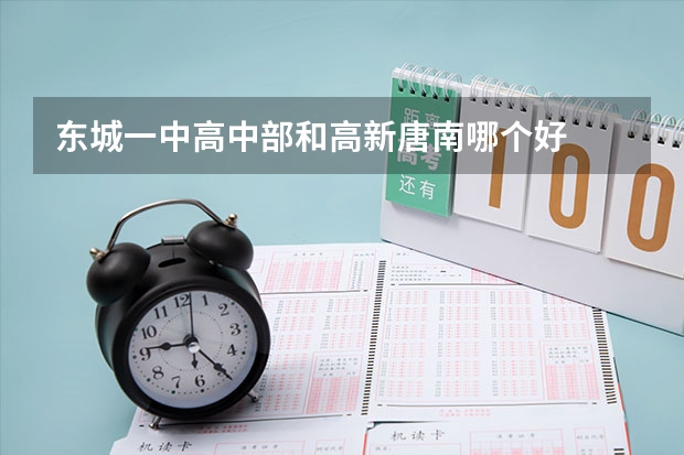 东城一中高中部和高新唐南哪个好