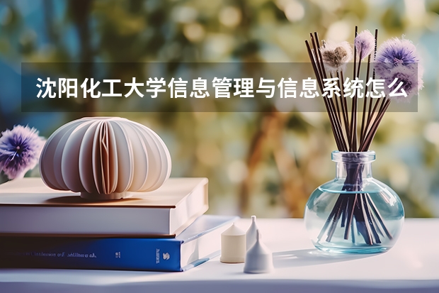沈阳化工大学信息管理与信息系统怎么样，宿舍环境，就业前景如何，在线等