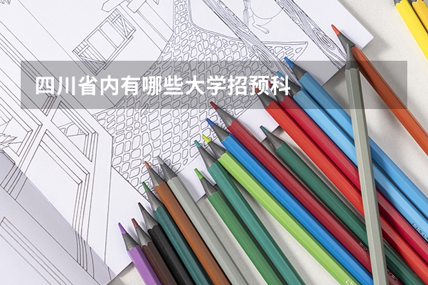 四川省内有哪些大学招预科