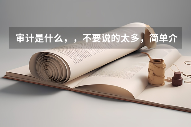 审计是什么，，不要说的太多，简单介绍下就好了，，，，高考志愿需要