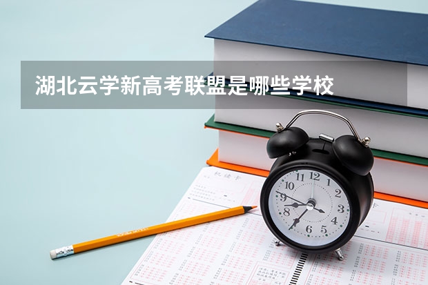 湖北云学新高考联盟是哪些学校