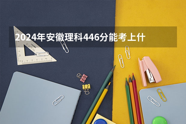 2024年安徽理科446分能考上什么大学？