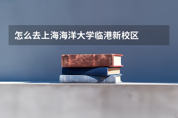 怎么去上海海洋大学临港新校区