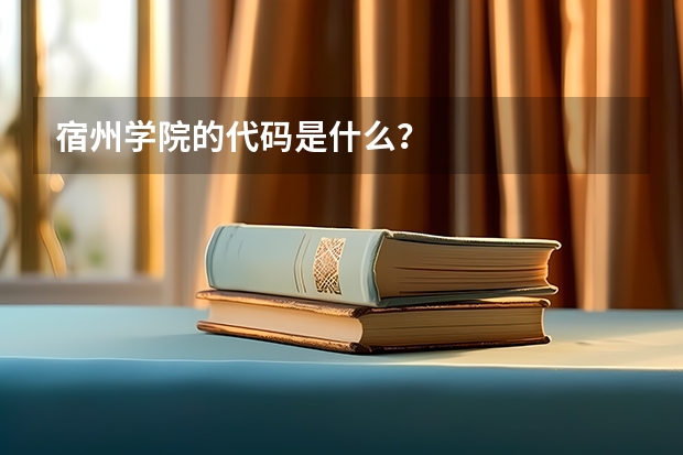 宿州学院的代码是什么？