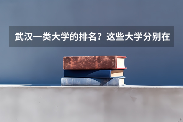武汉一类大学的排名?这些大学分别在全国的名次? 关于华中师范大学武汉传媒学院的学费问题