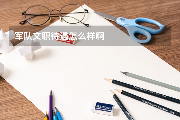 军队文职待遇怎么样啊