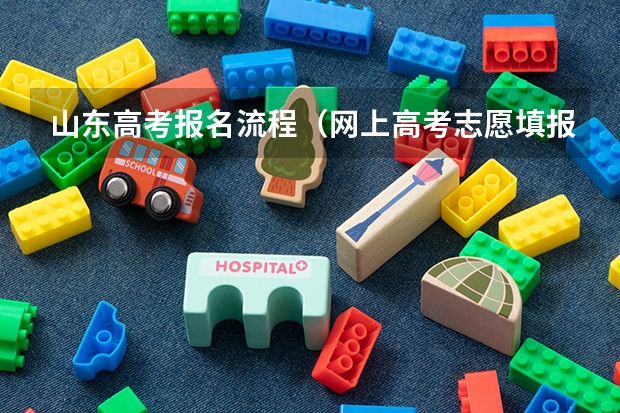 山东高考报名流程（网上高考志愿填报流程图解）