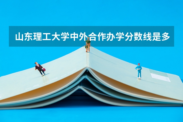 山东理工大学中外合作办学分数线是多少？