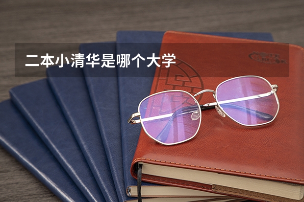 二本小清华是哪个大学