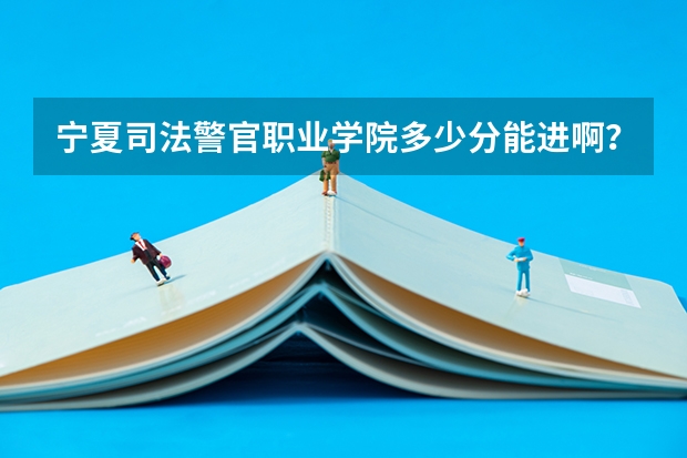 宁夏司法警官职业学院多少分能进啊？