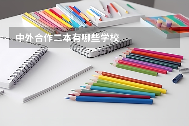 中外合作二本有哪些学校