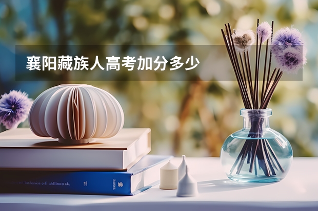 襄阳藏族人高考加分多少
