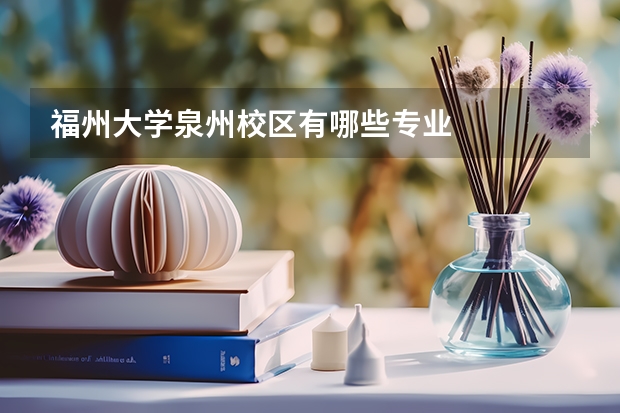 福州大学泉州校区有哪些专业