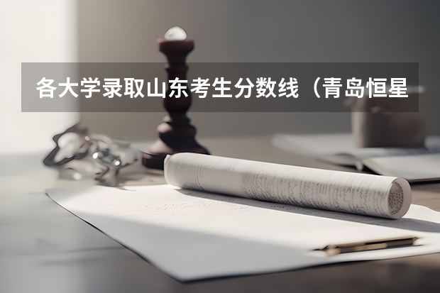 各大学录取山东考生分数线（青岛恒星科技学院录取分数线）