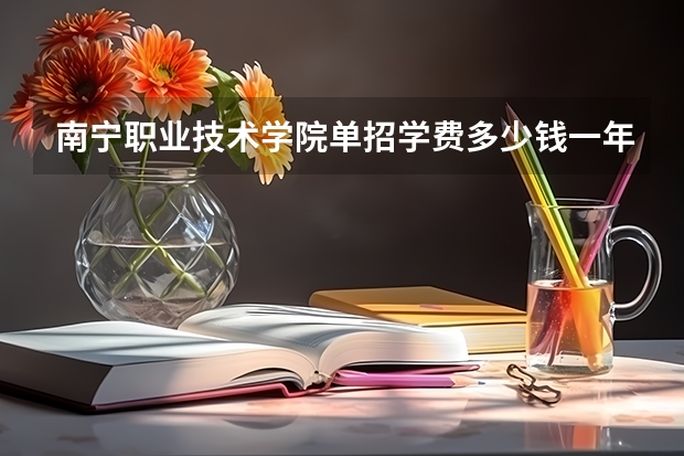 南宁职业技术学院单招学费多少钱一年