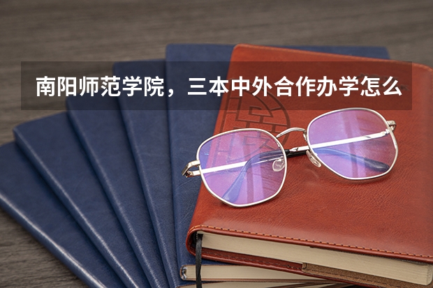 南阳师范学院，三本中外合作办学怎么样