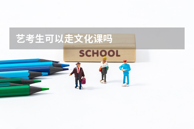 艺考生可以走文化课吗