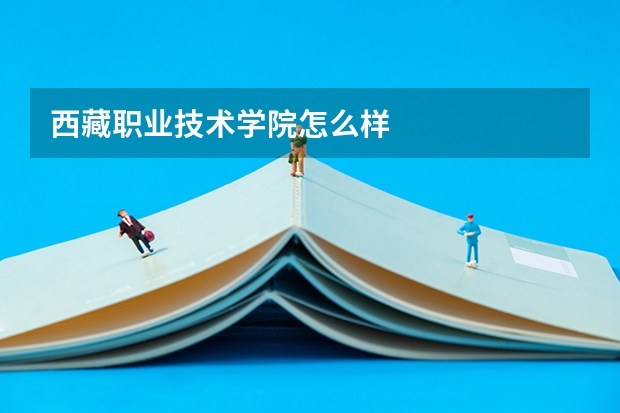 西藏职业技术学院怎么样