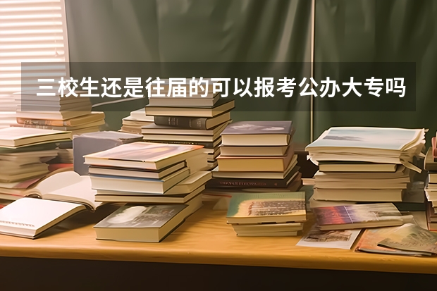 三校生还是往届的可以报考公办大专吗？